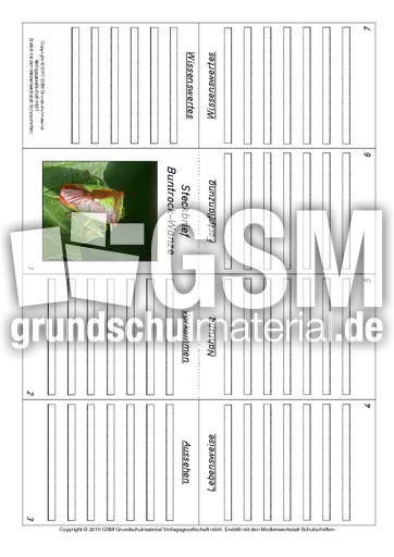 Faltbuch-Buntrock-Wanze.pdf